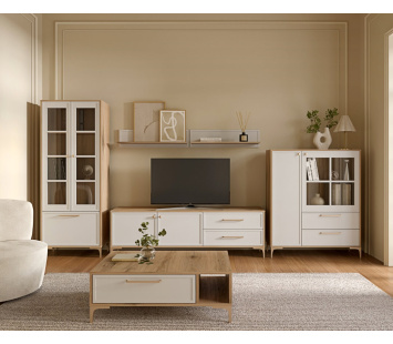 dnevna-soba-alba-bela-ambijent-2